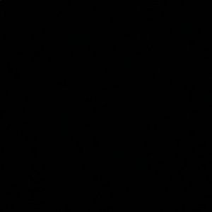 Meet your Posher, Bernie